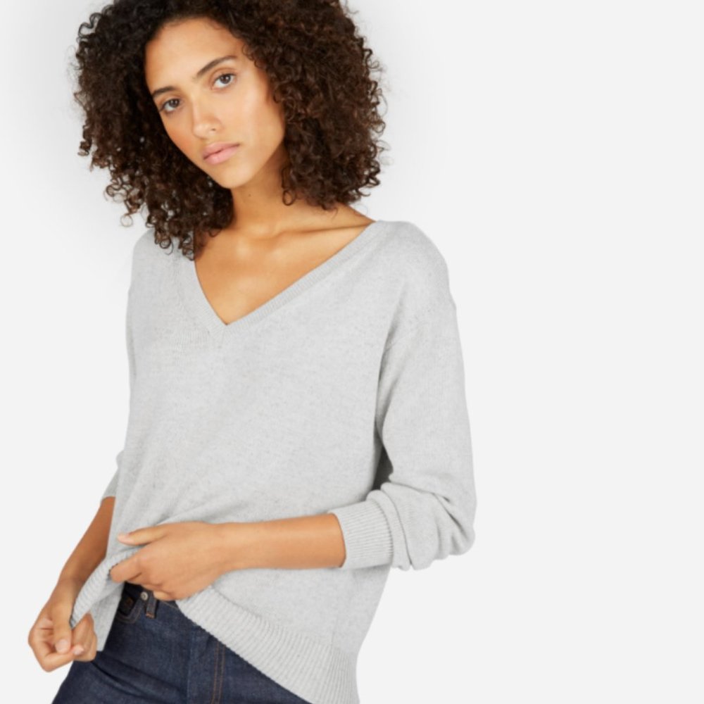 Everlane Soft Cotton V-Neck Sweater